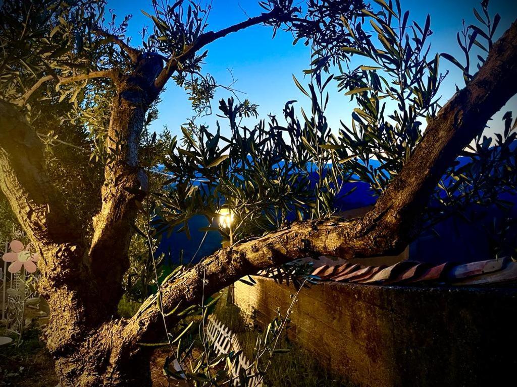 La Casina Di Venere Hotel Savoca Bagian luar foto